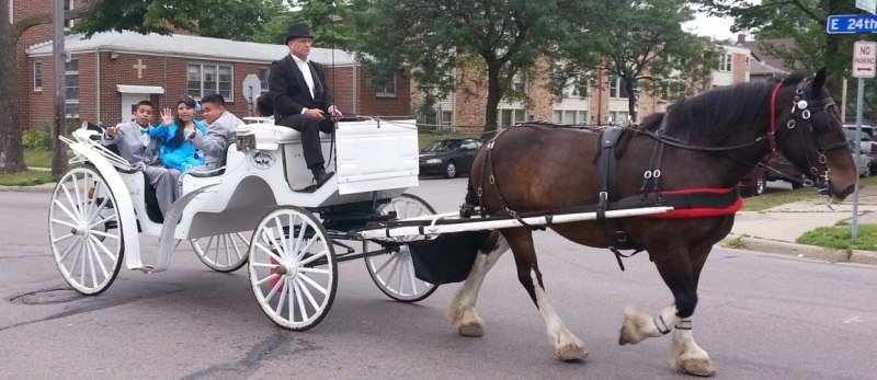 Horse Carriage Rentals | The Hitching Company