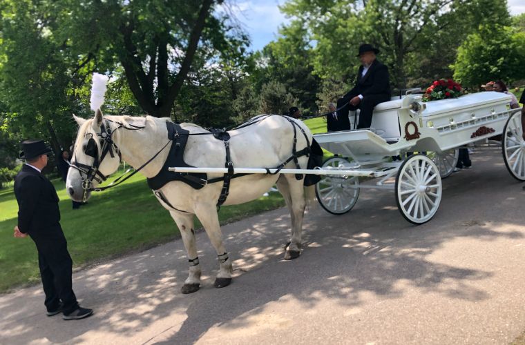 Funeral Horse Carriage Services | The Hitching Company
